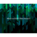 What is a SSDP DDoS Attack?