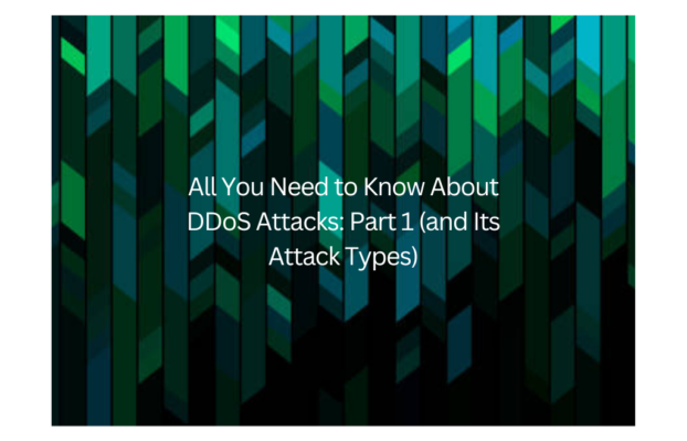 All You Need to Know About DDoS Attacks: Part 1 (and Its Attack Types)