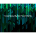 Cyber Security for Power Plants