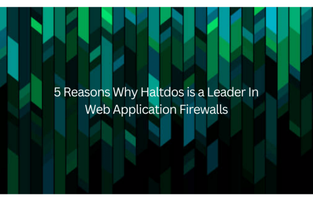 5 Reasons Why Haltdos is a Leader in Web Application Firewalls