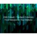DNS Firewall – The Best Protection from Malware for Your Website