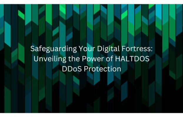Safeguarding Your Digital Fortress: Unveiling the Power of HALTDOS DDoS Protection