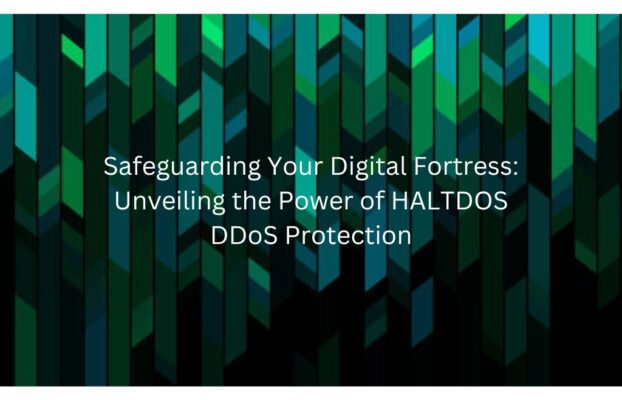 Safeguarding Your Digital Fortress: Unveiling the Power of HALTDOS DDoS Protection