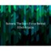 Botnets The Silent Force Behind DDoS Attacks